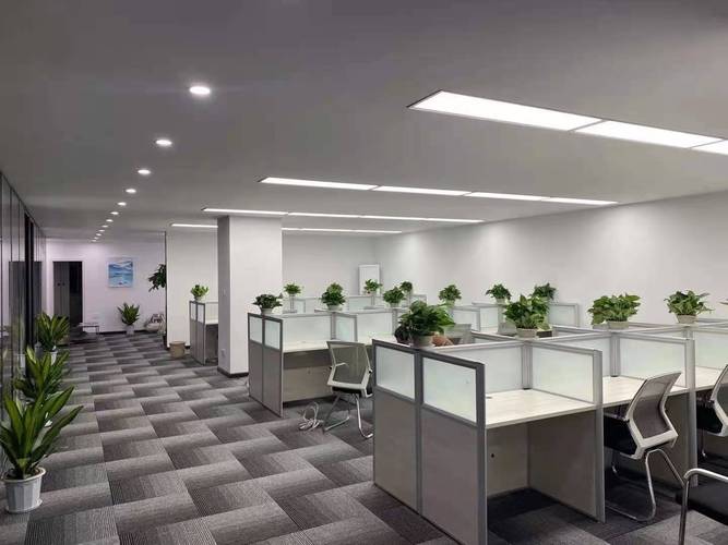 聚焦信息技术服务 柳俊雄与他的专业经营版图